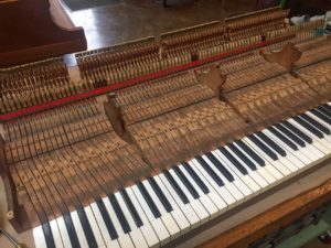 photo of piano action with just keybed and keys