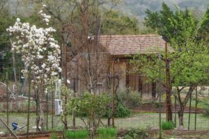 photo of the Spring Garden Shed