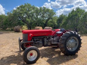 photo of The Massey Ferguson Model 65